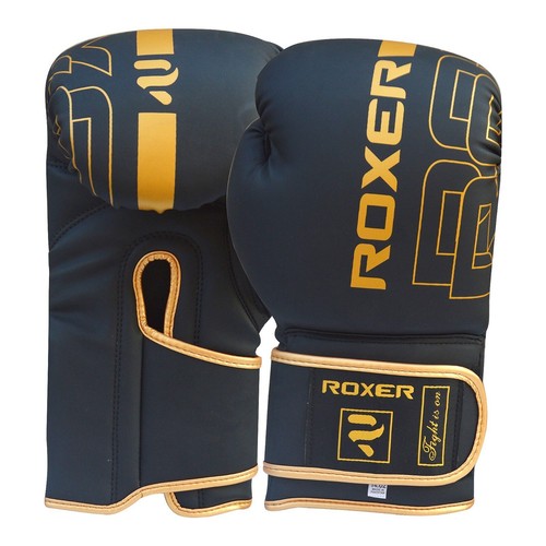 Professional boxing gloves - boxing,