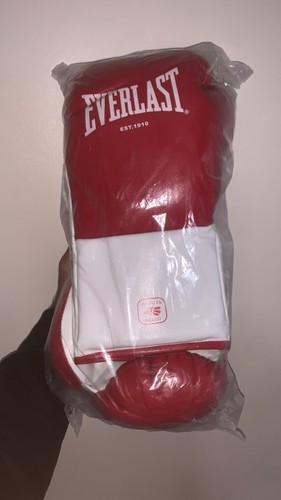 Everlast professional fight - everlast,