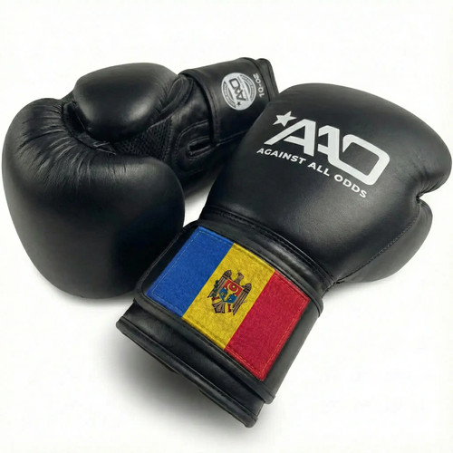 Moldova boxing gloves - moldova, aao