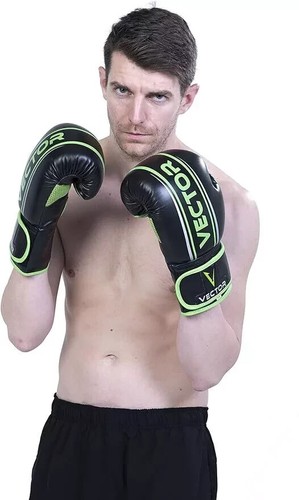Professional boxing gloves - boxing,
