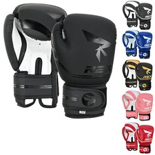 Muay Thai Professional