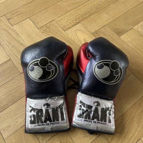 Grant boxing gloves 10oz - boxing,
