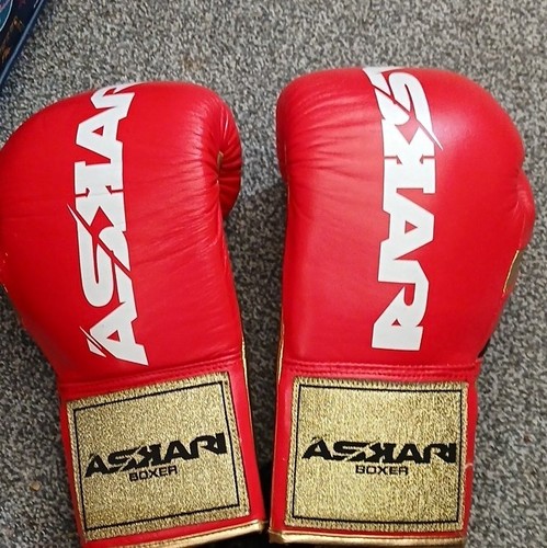 Askari boxer training - askari, boxing