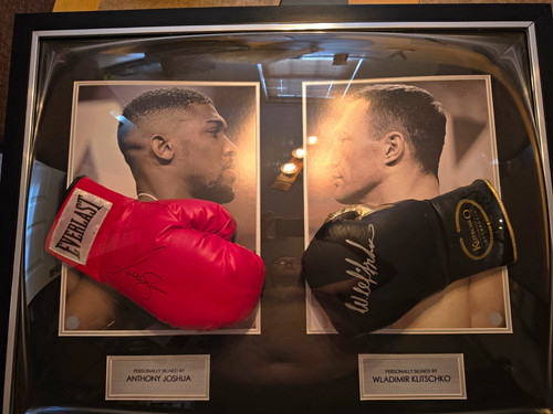 Everlast framed boxing - everlast,
