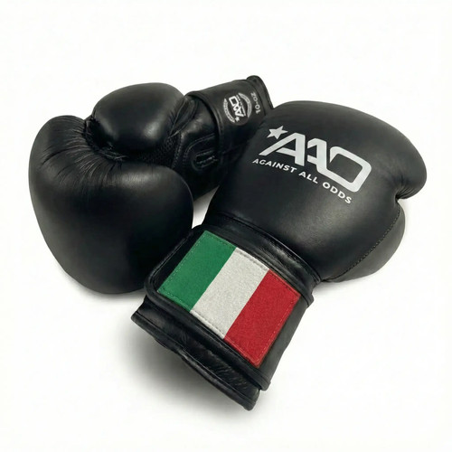 Italy boxing gloves aao - gloves,