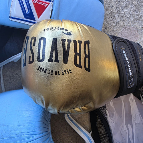 Bravose fearless - fearless, gold