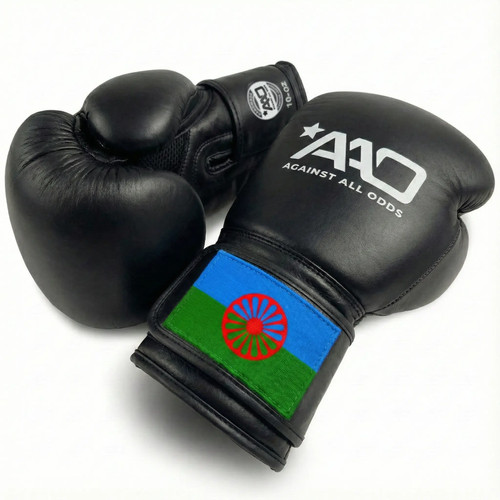 Sinti boxing gloves aao - |,