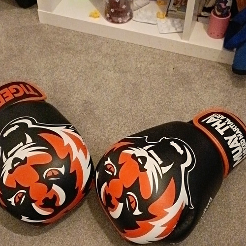 Tiger muay thai mma - thai,