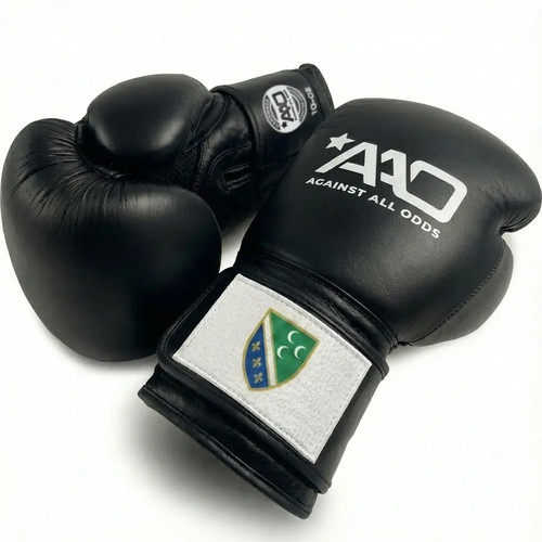 Sandzak boxing gloves aao - boxing,