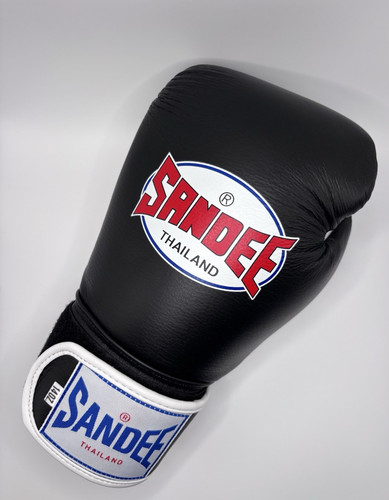 Sandee boxing gloves