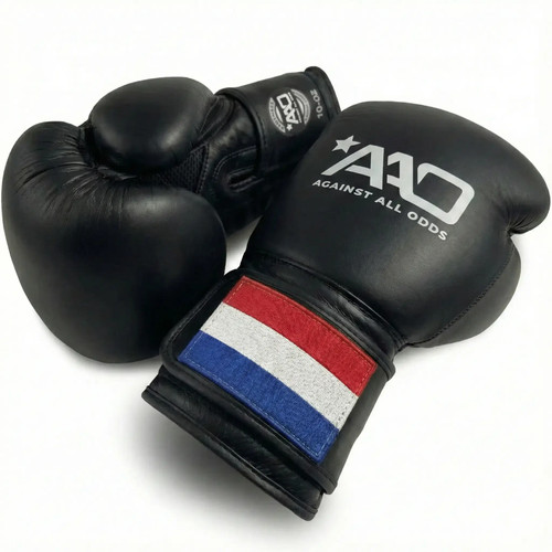 Netherlands boxing gloves - boxing,
